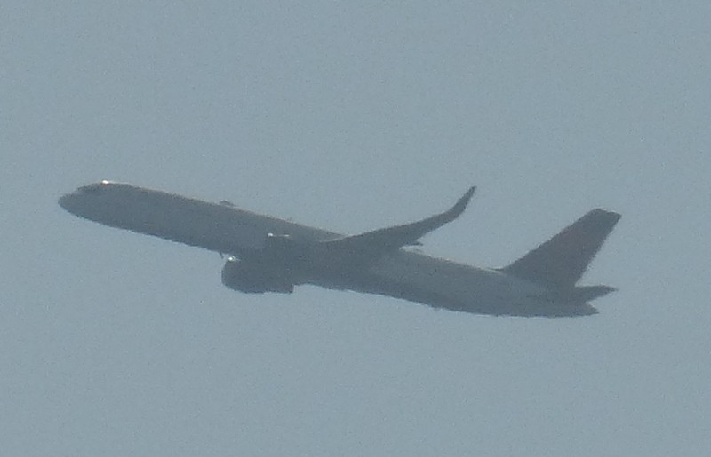 P10707351.JPG
