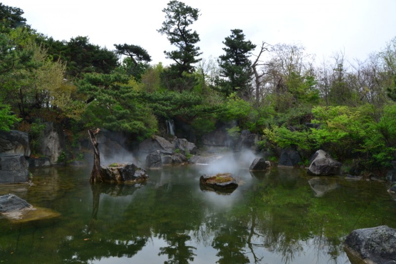 DSC_0926.JPG