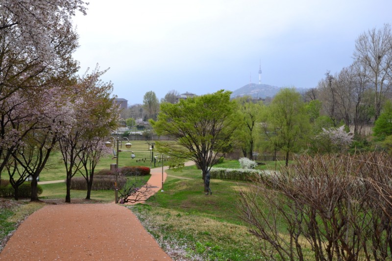 DSC_0945.JPG