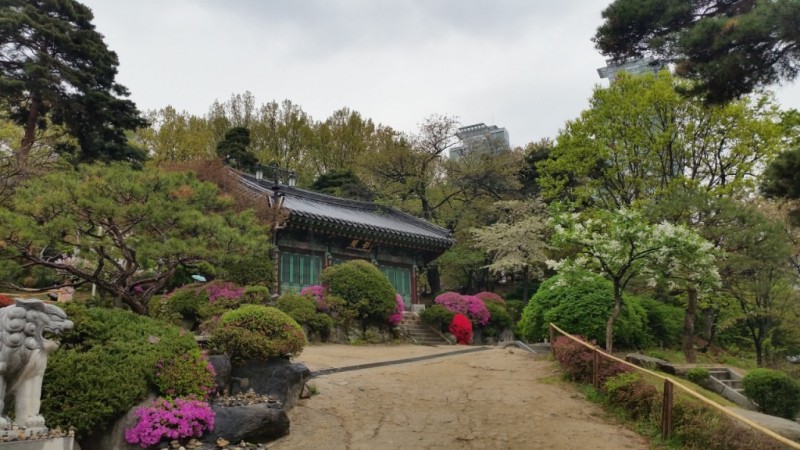 20170417_124115.jpg