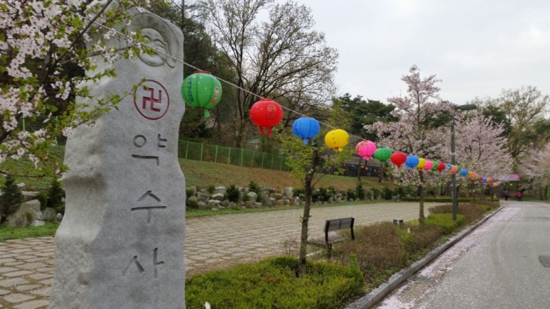 20170418_080830.jpg
