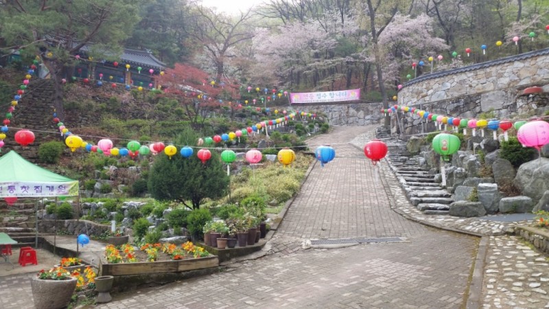 20170418_081043.jpg