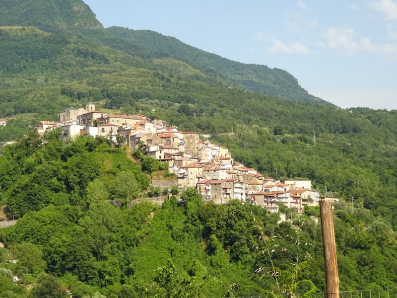 NP Cilento