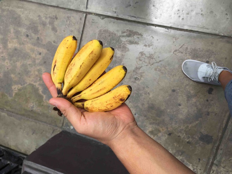 Minibanány
