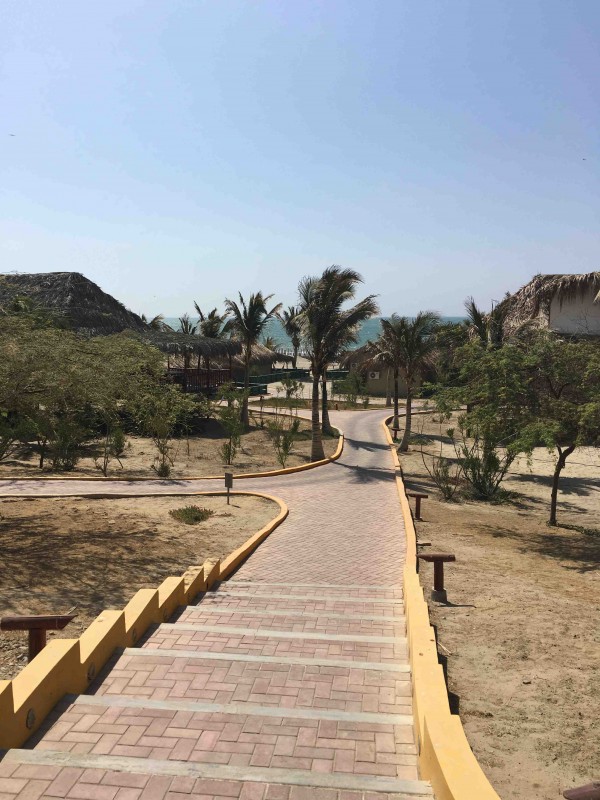 Vichayito