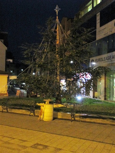 134.JPG