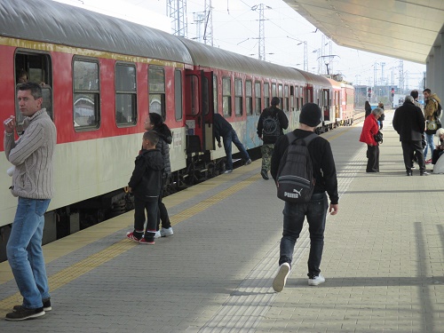 173.JPG