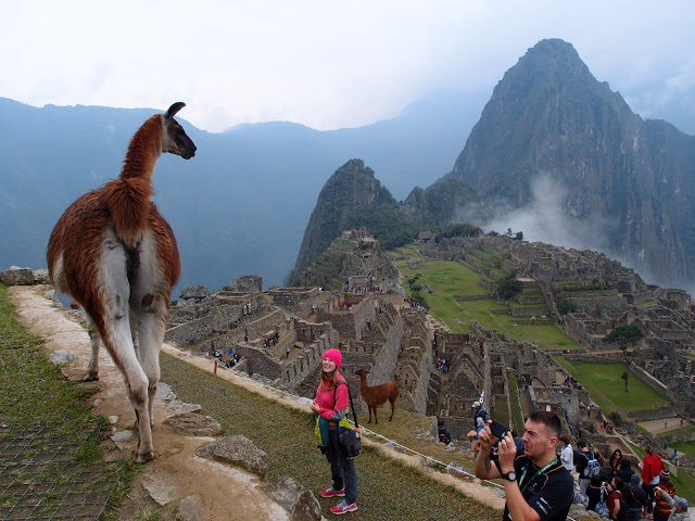 Machu Picchu