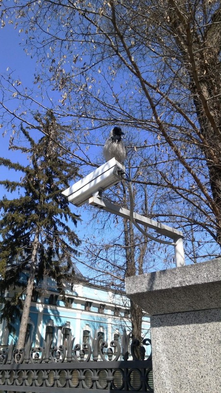 Ochranka pred budovou narodni banky