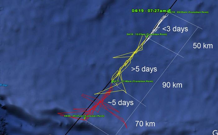 PoDnochMH370.JPG