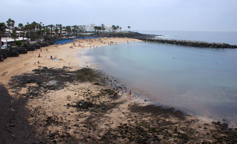 H9255176.jpg
