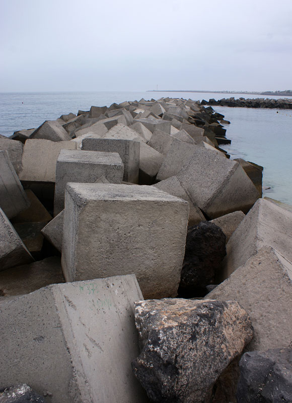 H9255206.jpg