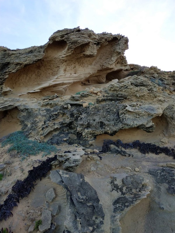 piskovcove ukazy
