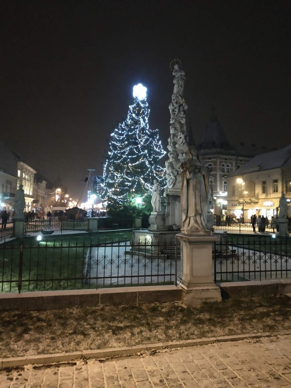 Súsošie Immaculata - Morový stĺp