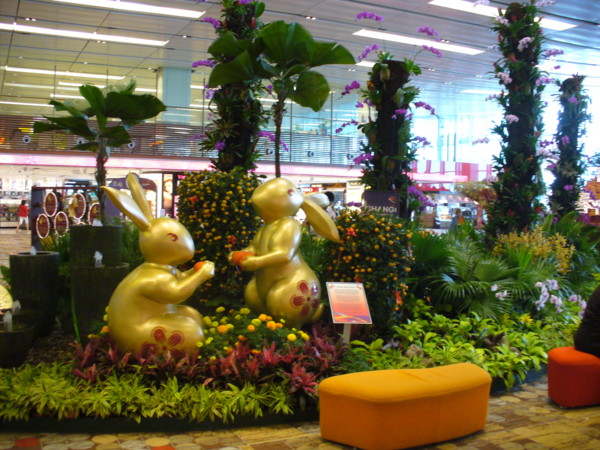 letiště Changi - Singapur