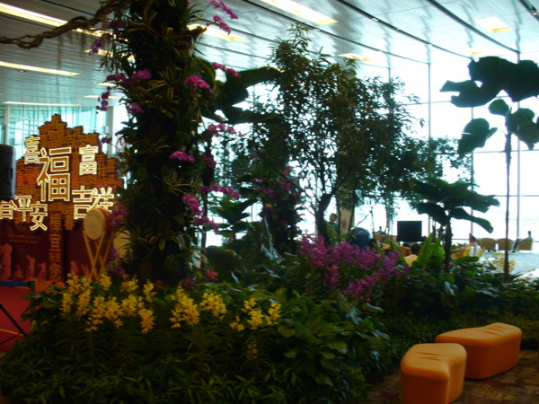 letiště Changi - Singapur