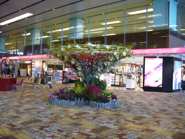 letiště Changi - Singapur