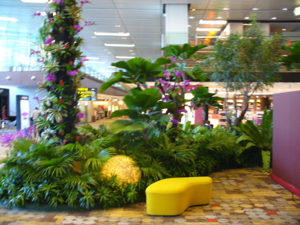 letiště Changi - Singapur