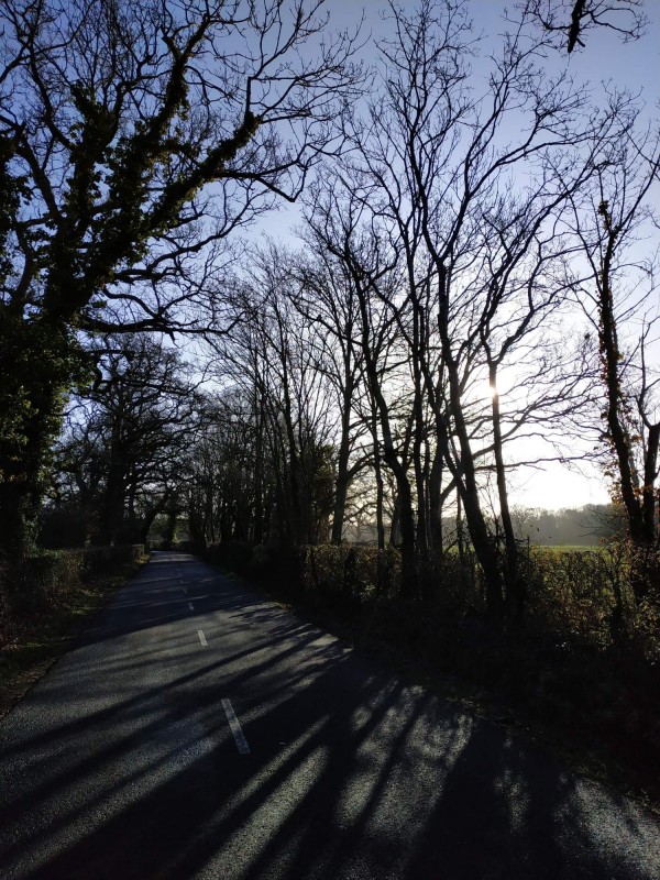 Mill Ln road