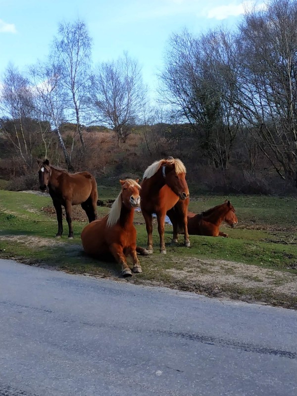 jsem na chvilku zastavil a kochal se