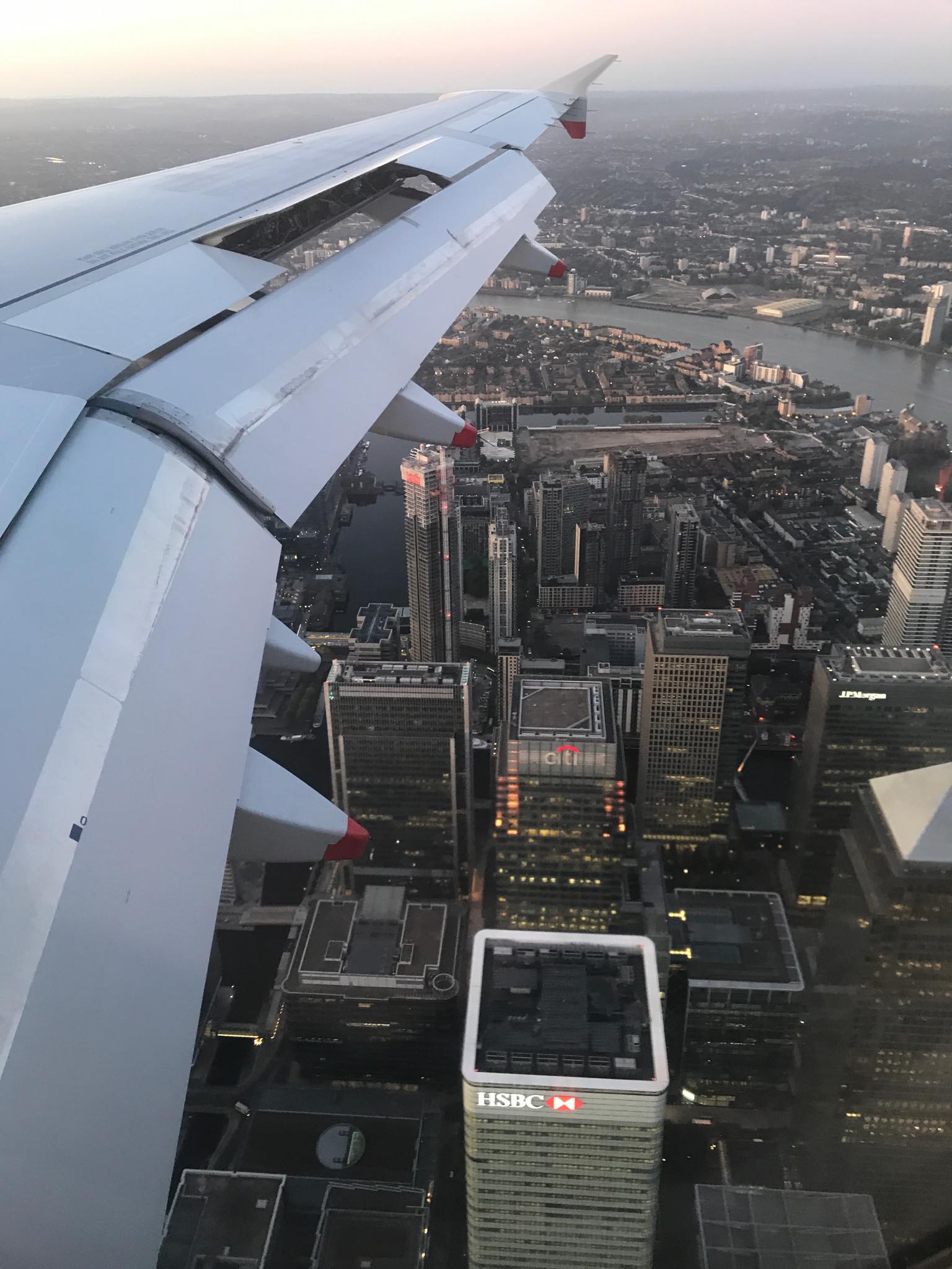 lcy.jpg