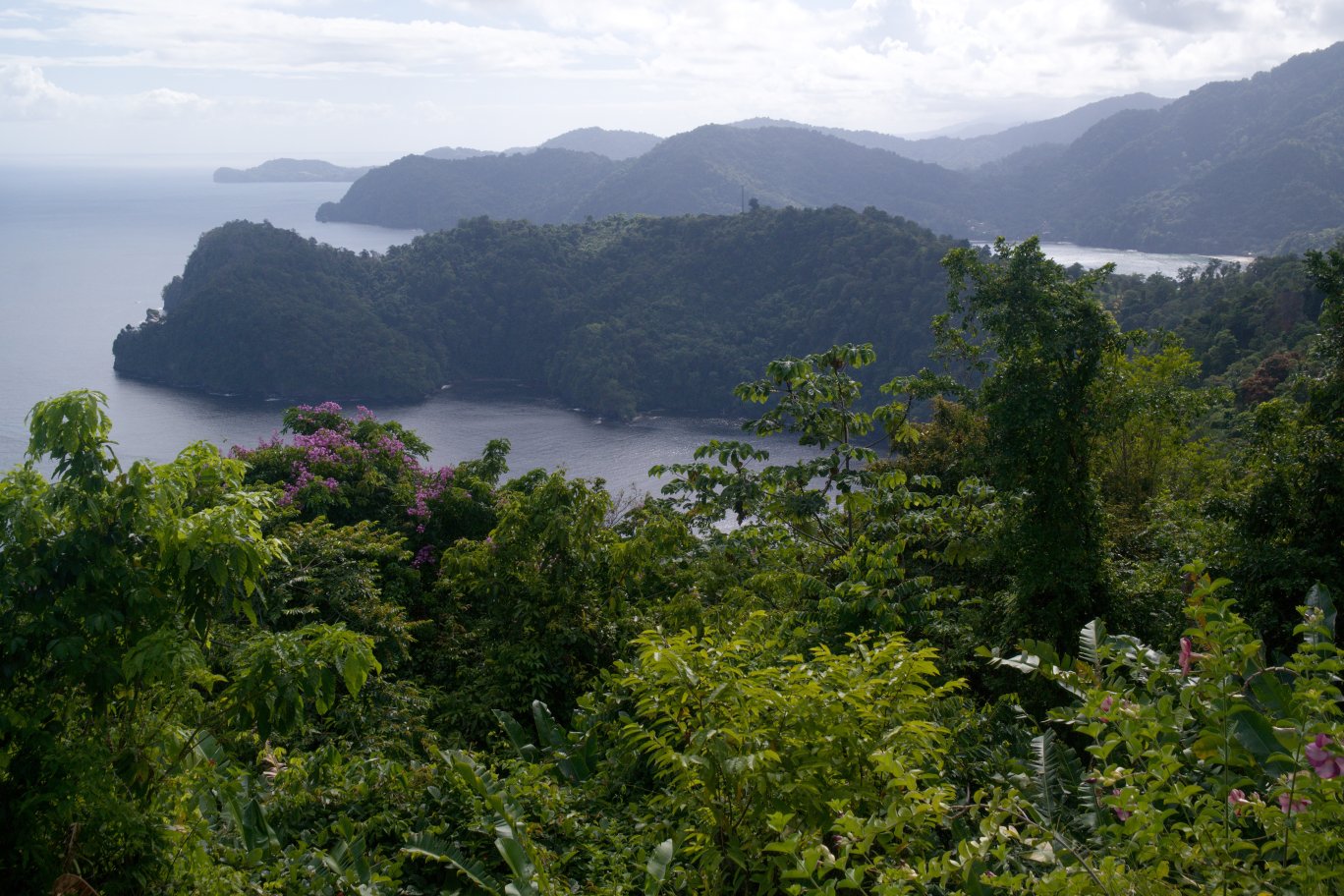 Výhledy po cestě mezi Port of Spain a Maracas Bay