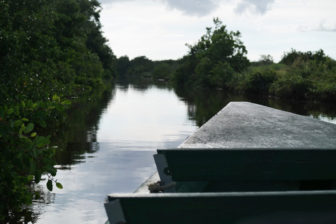 Caroni