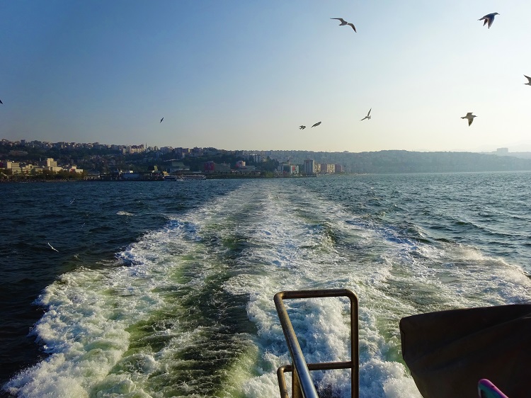 29 sea.JPG