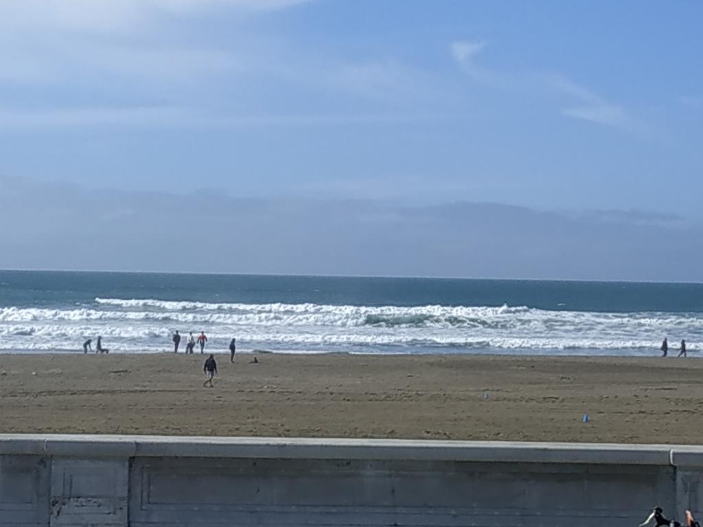 IMG_20200126_154454.jpg