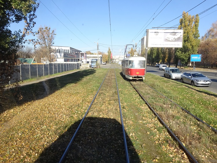 29 tráva.JPG