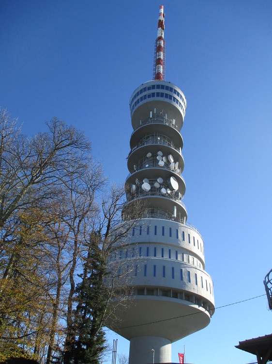 15.JPG