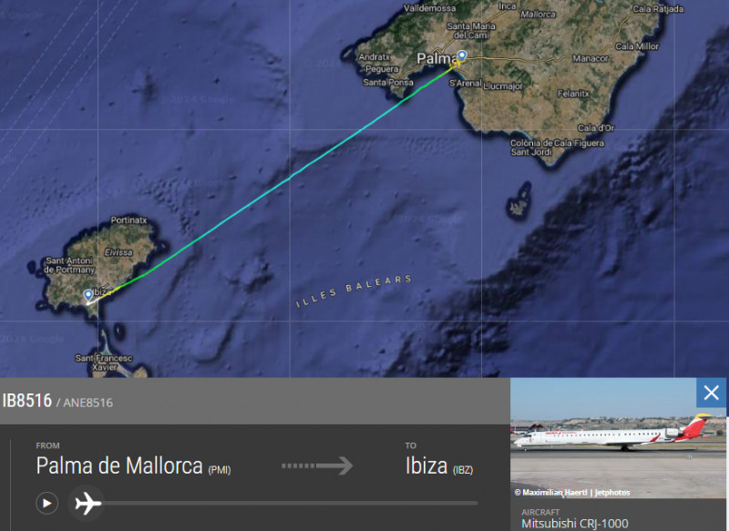 PMI-IBZ.jpg