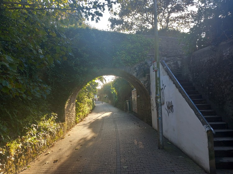 65.jpg