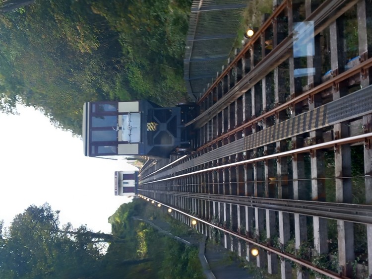 183.jpg