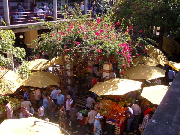 Misti trziste s ovocem, zeleninou a rybami - Mercado Lavradores