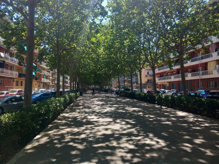 185.jpg