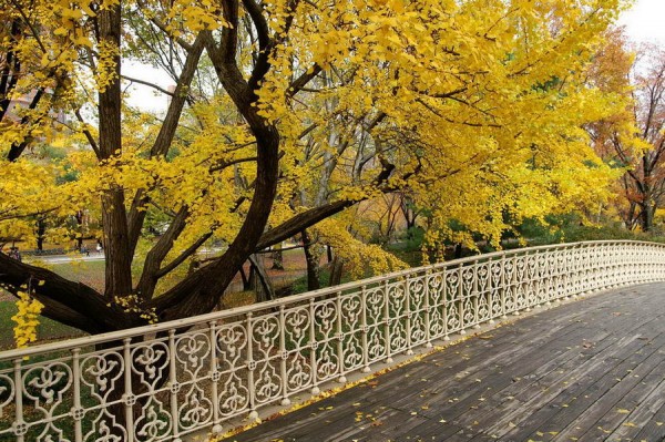 Central Park na podzim 1 (New York v asi nejhezčím období pro návštěvu)