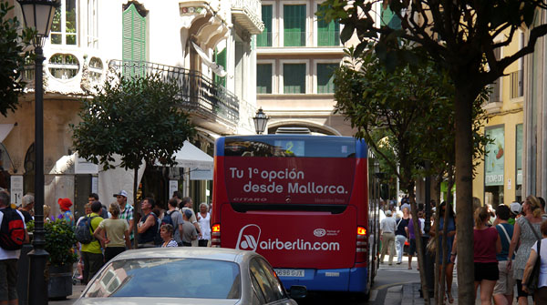 P1000046.jpg