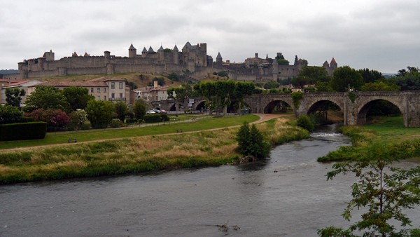 P1110785.jpg