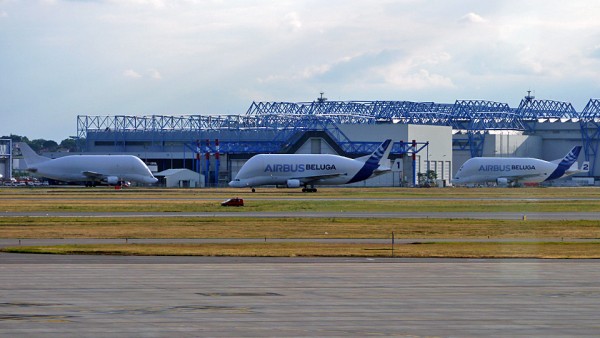P1120153.jpg