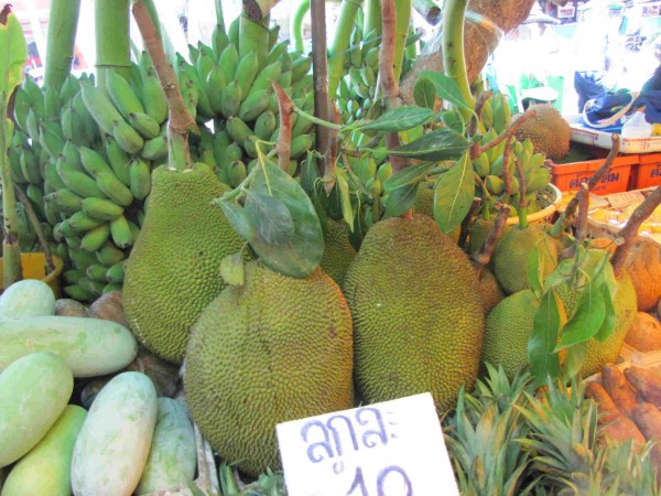 Durian - ten jsme si zamiloval