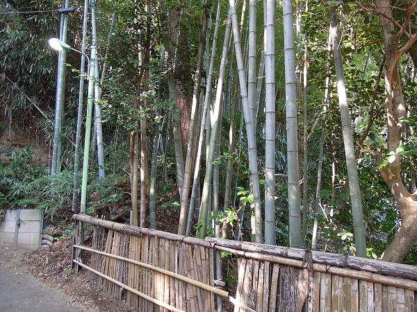 Japan.tour.26.jpg
