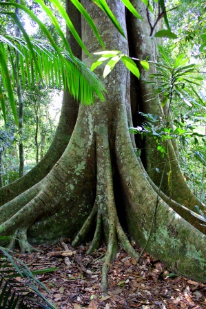 thai a malaj 099.JPG