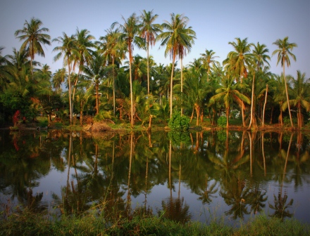 thai a malaj 249.JPG